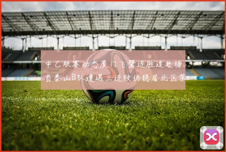 中乙联赛动态厦门飞鹭连胜追赶榜首泰山B队遭遇三连败仍稳居北区第三